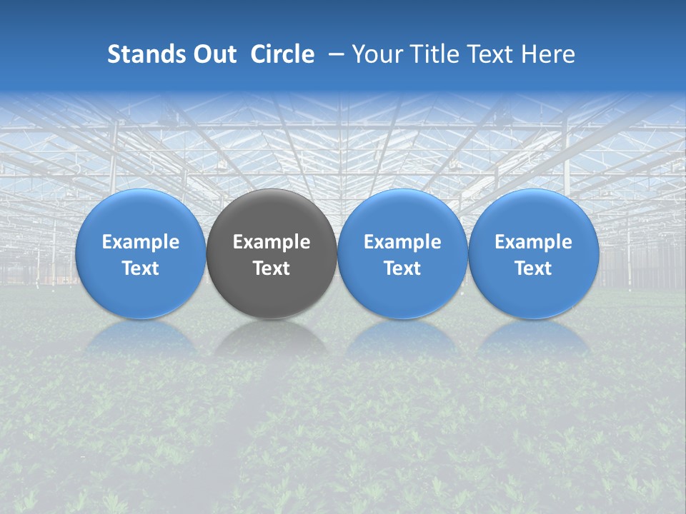 Spice Interior Production PowerPoint Template