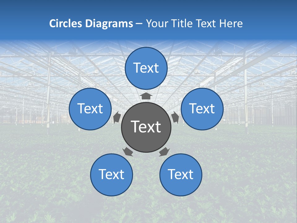 Spice Interior Production PowerPoint Template