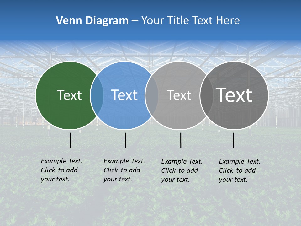 Spice Interior Production PowerPoint Template