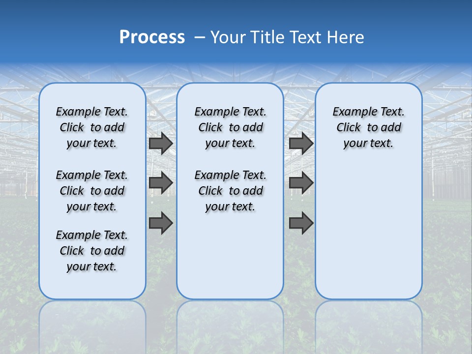 Spice Interior Production PowerPoint Template