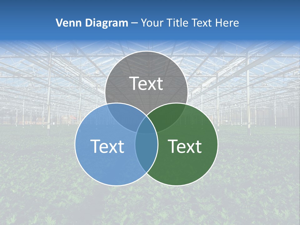 Spice Interior Production PowerPoint Template