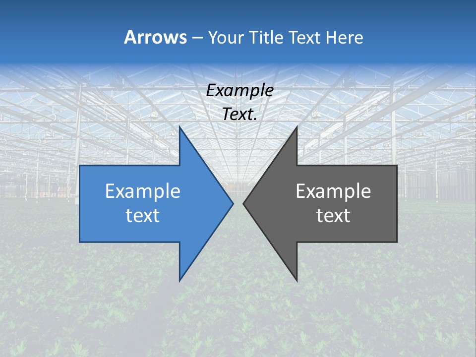 Spice Interior Production PowerPoint Template