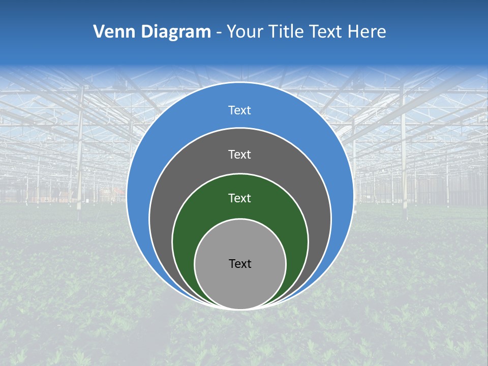 Spice Interior Production PowerPoint Template