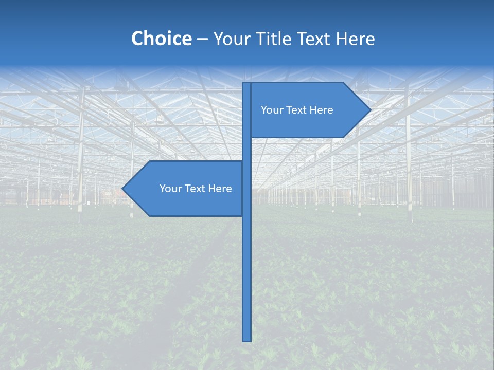 Spice Interior Production PowerPoint Template