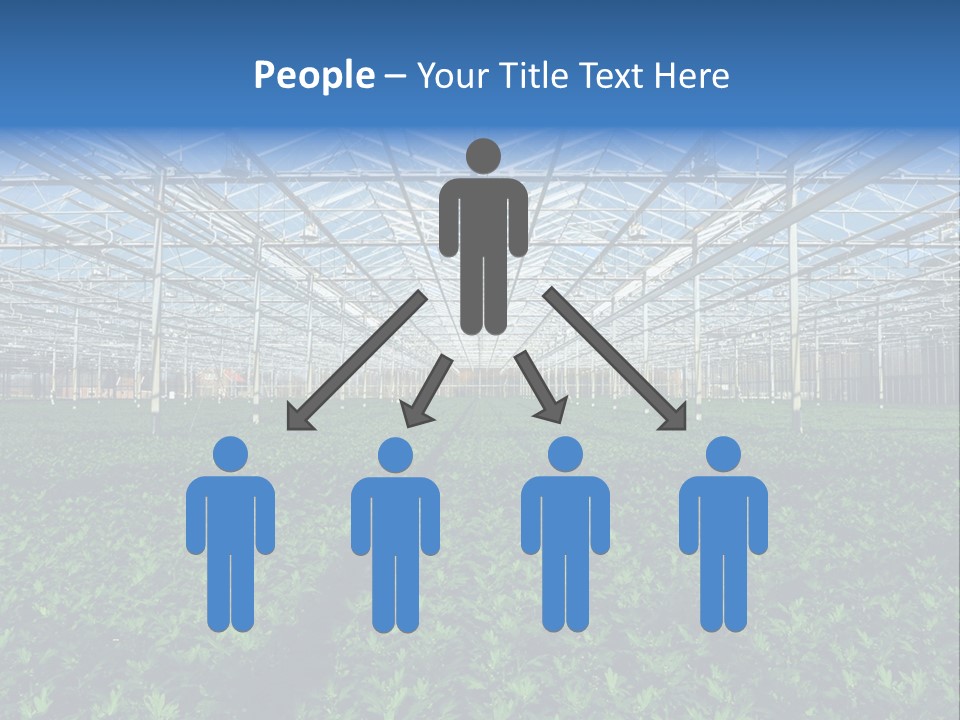 Spice Interior Production PowerPoint Template