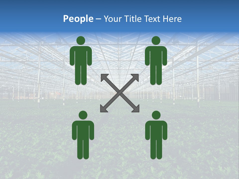 Spice Interior Production PowerPoint Template