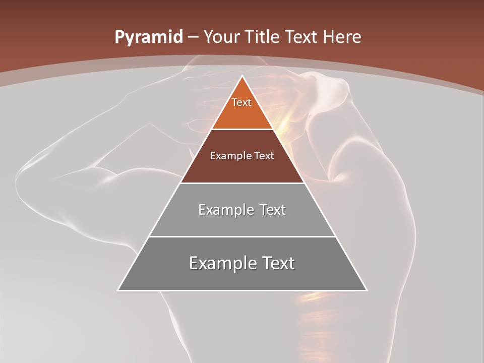 Medicine Xray Rheumatism PowerPoint Template