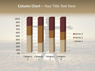 Silhouette Of Child PowerPoint Template