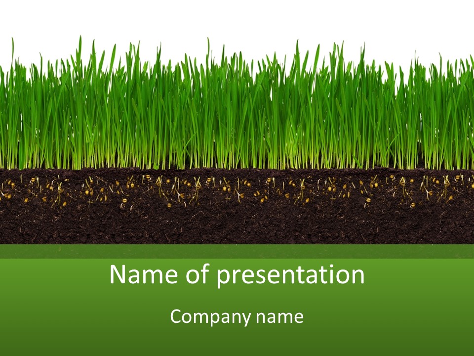 Isolated Chernozem Garden PowerPoint Template