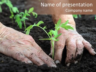 Countryside Soil Careful PowerPoint Template