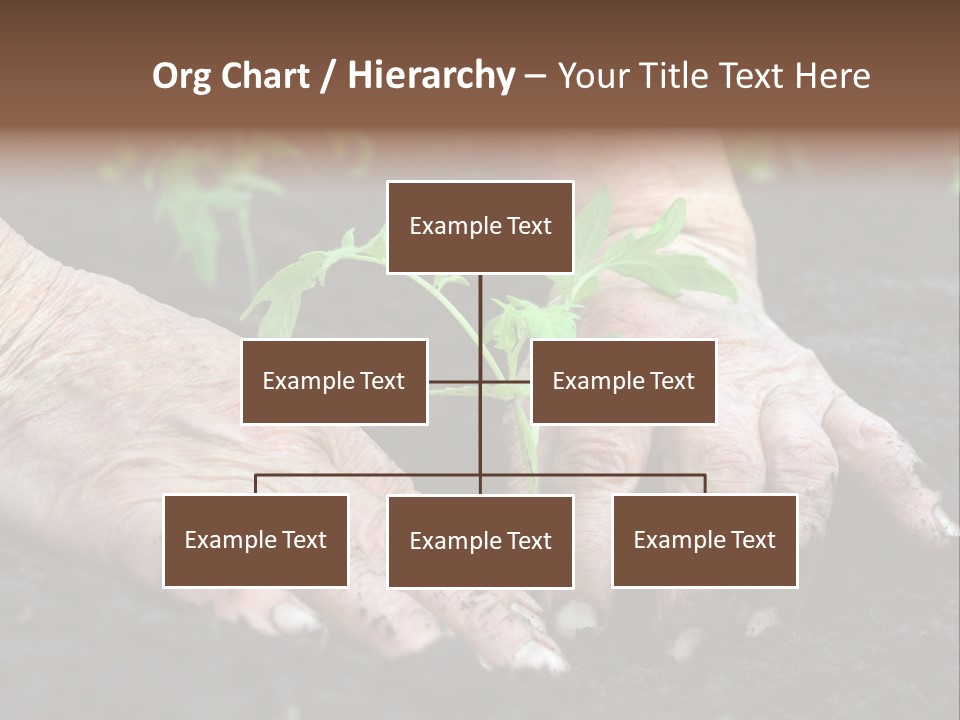 Countryside Soil Careful PowerPoint Template