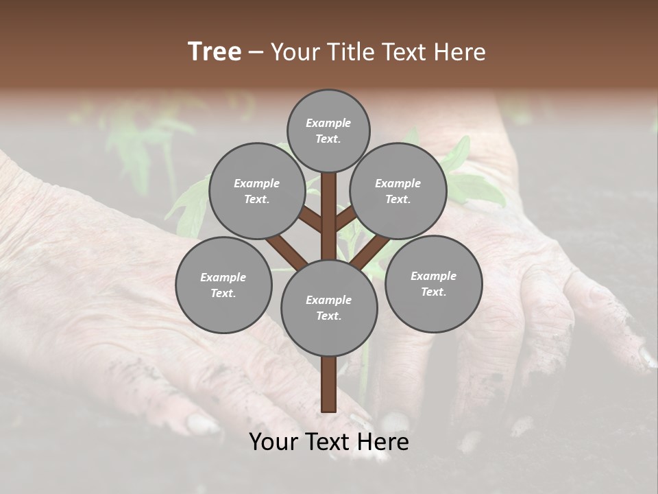 Countryside Soil Careful PowerPoint Template