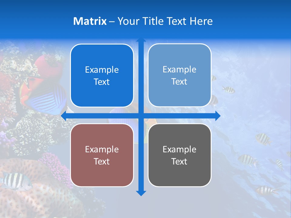 Fish PowerPoint Template