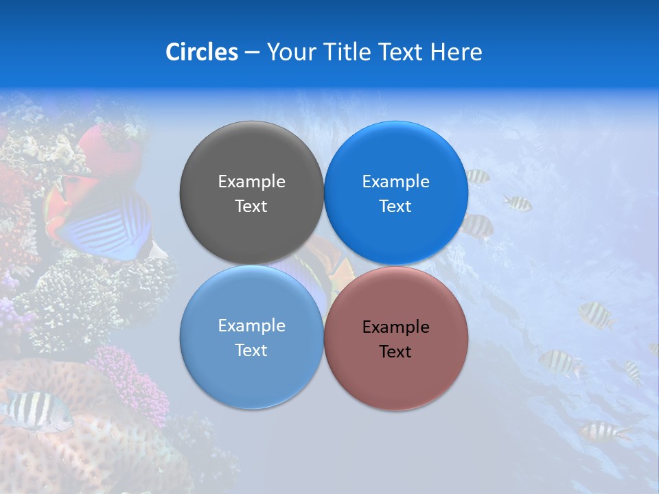 Fish PowerPoint Template