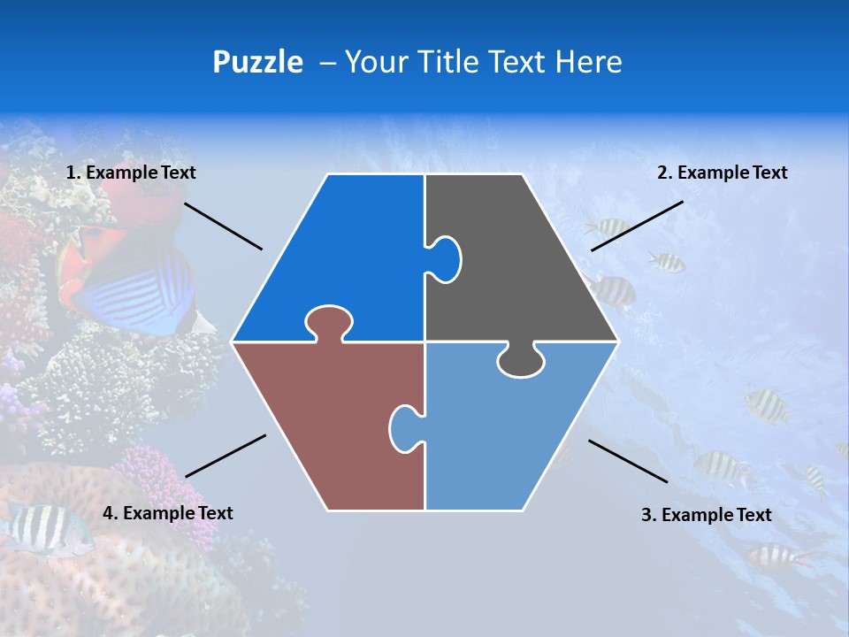 Fish PowerPoint Template