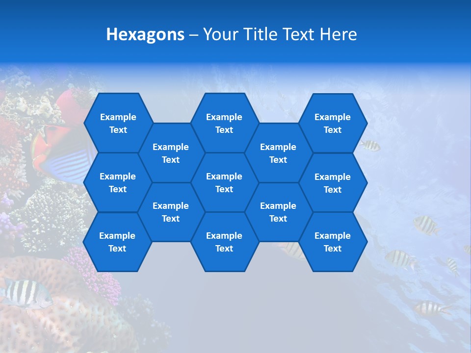 Fish PowerPoint Template