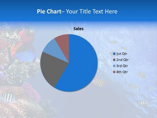 Fish PowerPoint Template