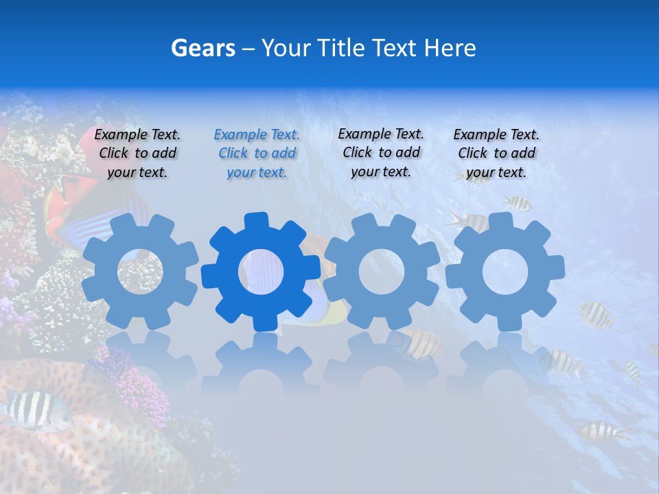 Fish PowerPoint Template