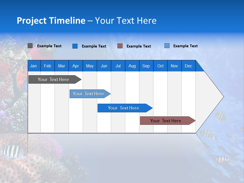 Fish PowerPoint Template