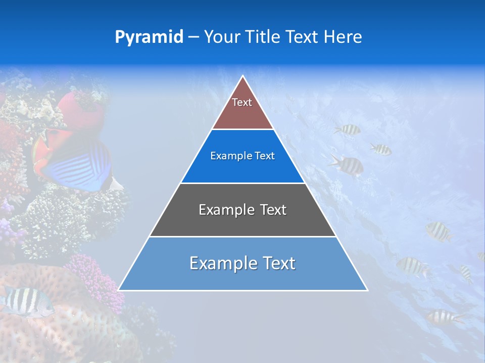 Fish PowerPoint Template