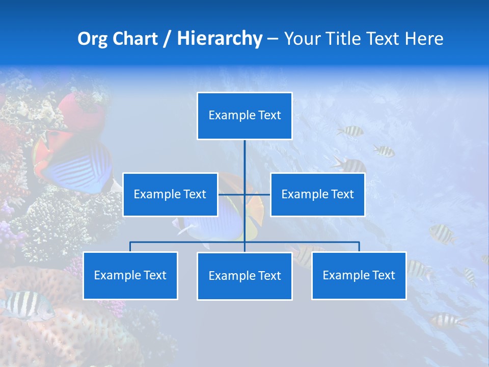 Fish PowerPoint Template