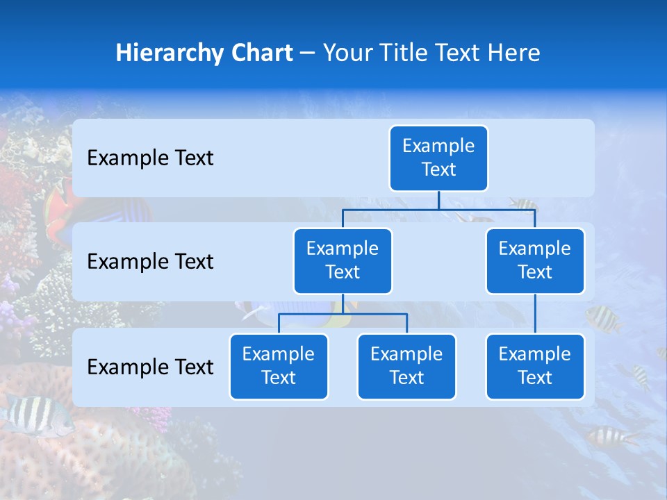 Fish PowerPoint Template