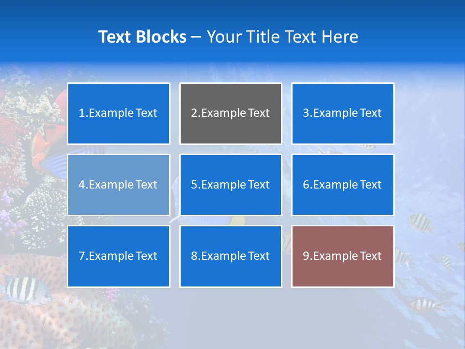 Fish PowerPoint Template