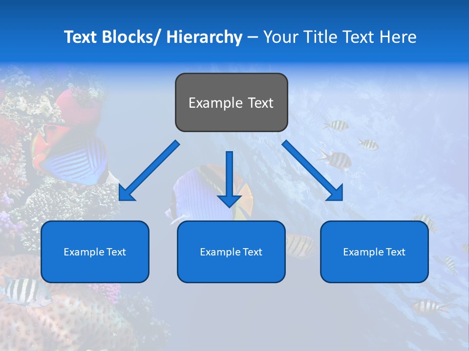 Fish PowerPoint Template