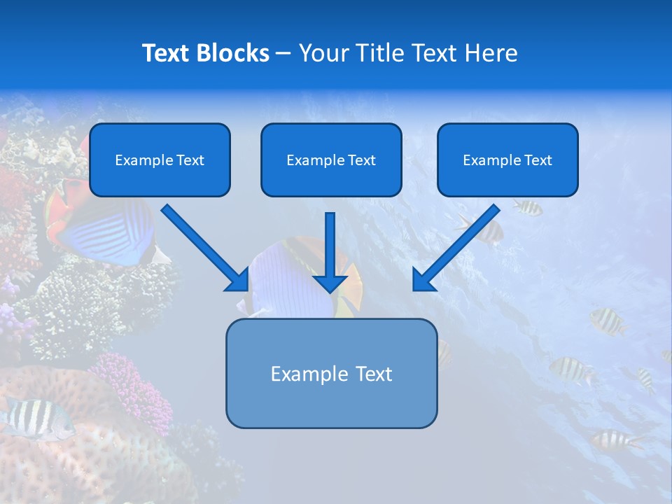 Fish PowerPoint Template