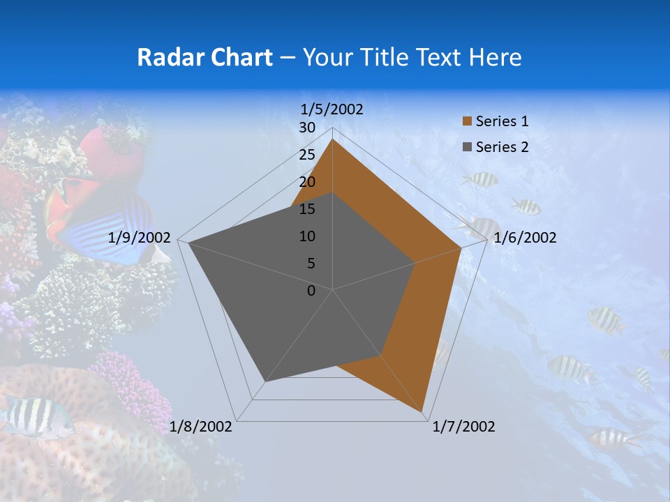 Fish PowerPoint Template