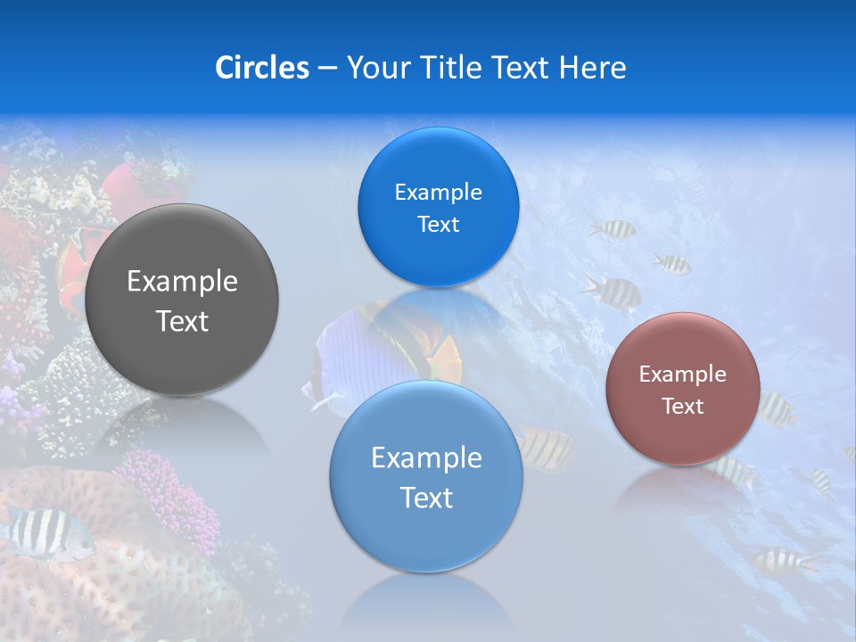 Fish PowerPoint Template