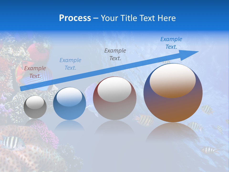 Fish PowerPoint Template