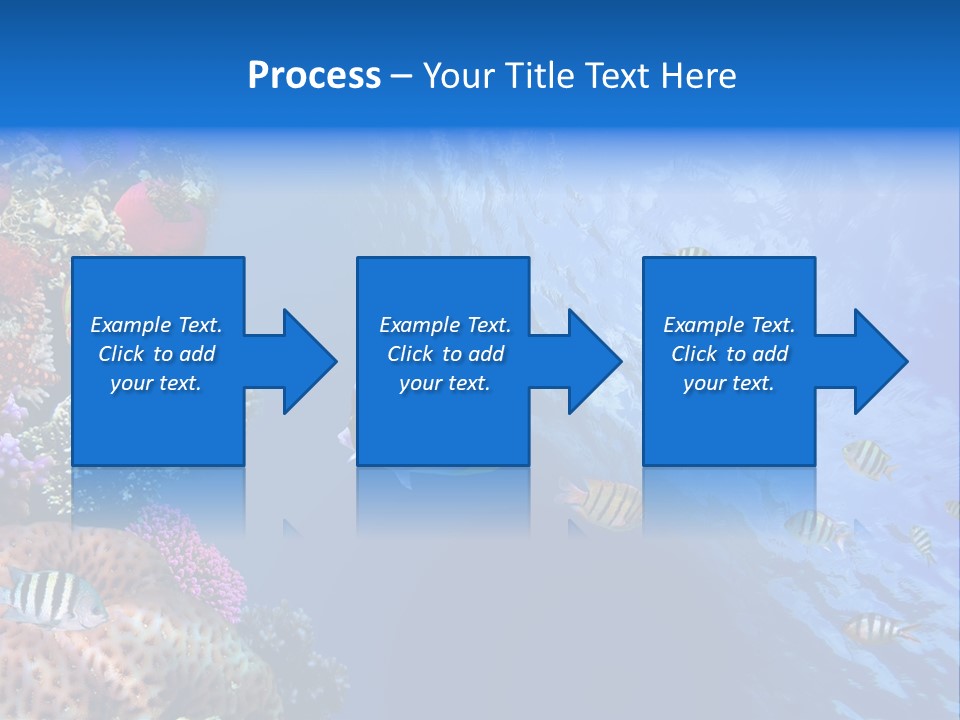 Fish PowerPoint Template