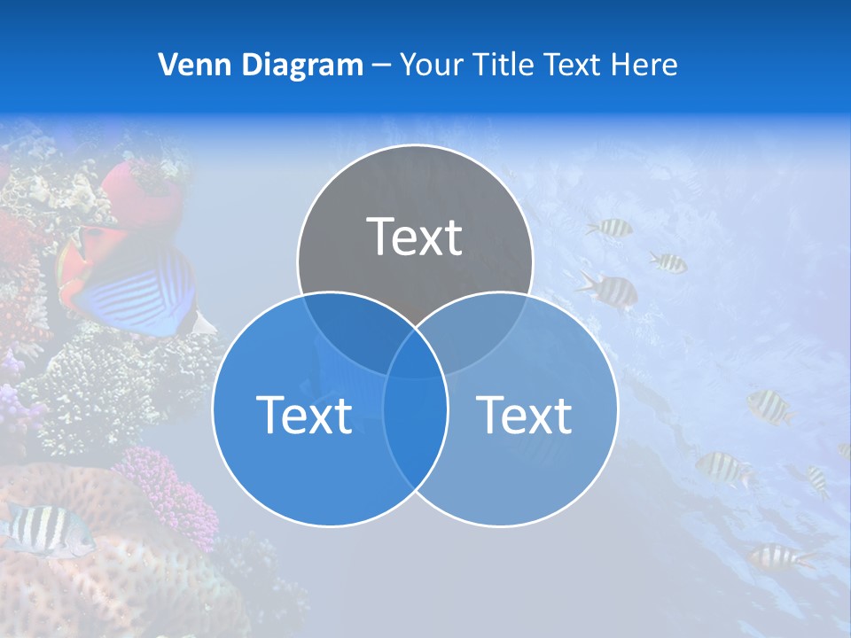 Fish PowerPoint Template