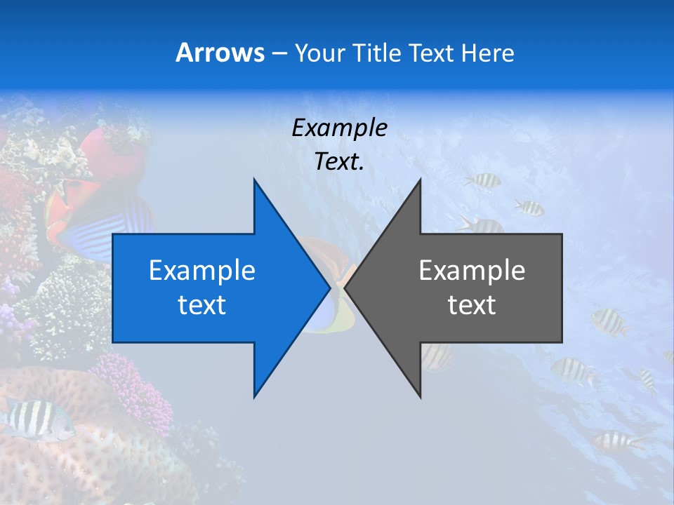 Fish PowerPoint Template