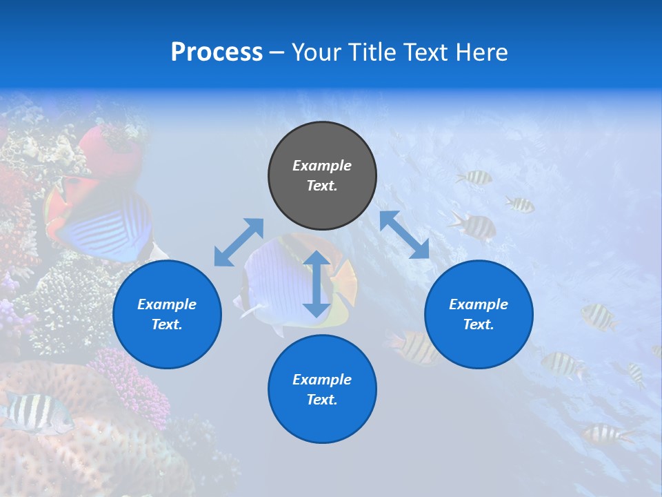 Fish PowerPoint Template