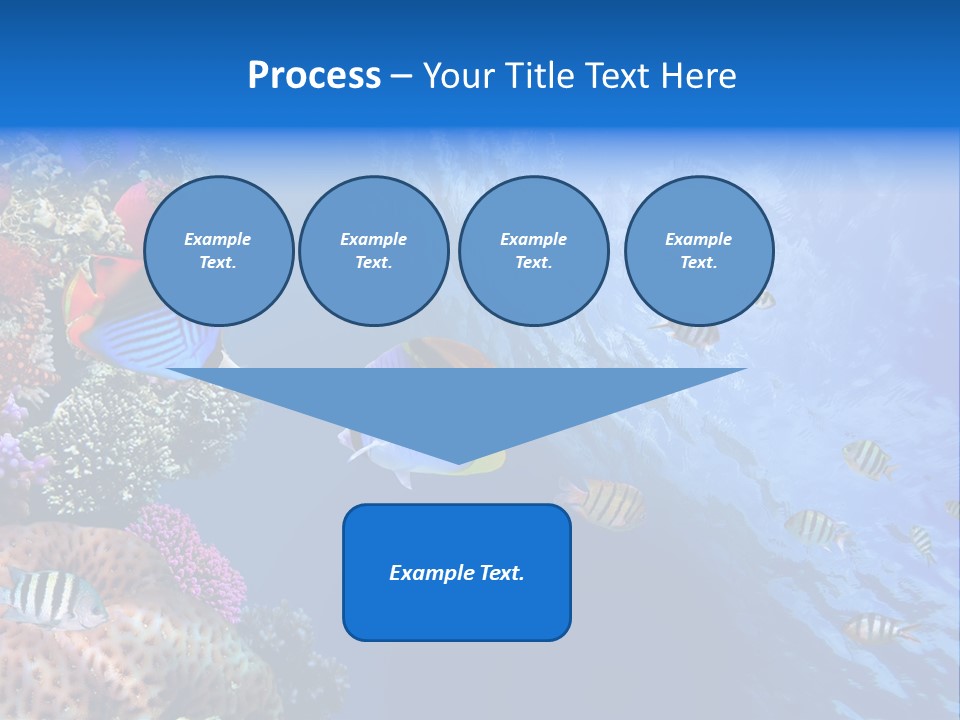 Fish PowerPoint Template