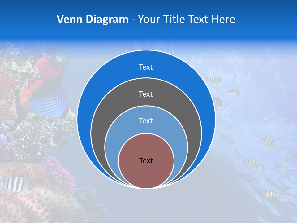 Fish PowerPoint Template