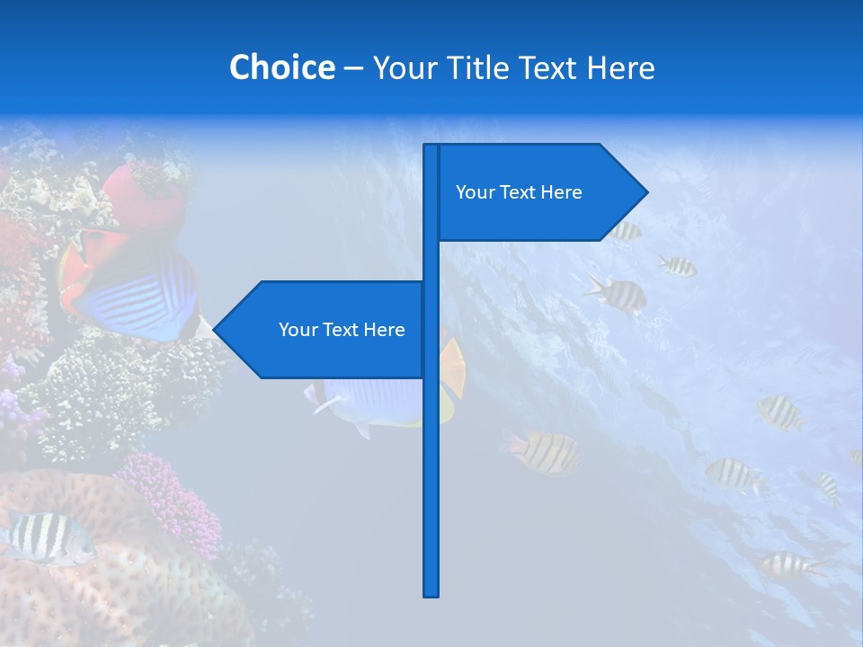 Fish PowerPoint Template