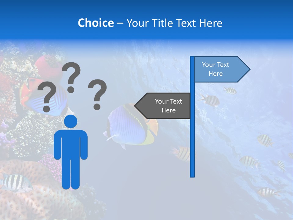Fish PowerPoint Template