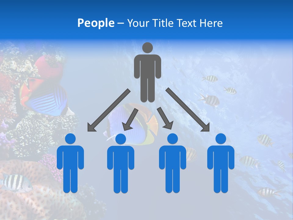 Fish PowerPoint Template