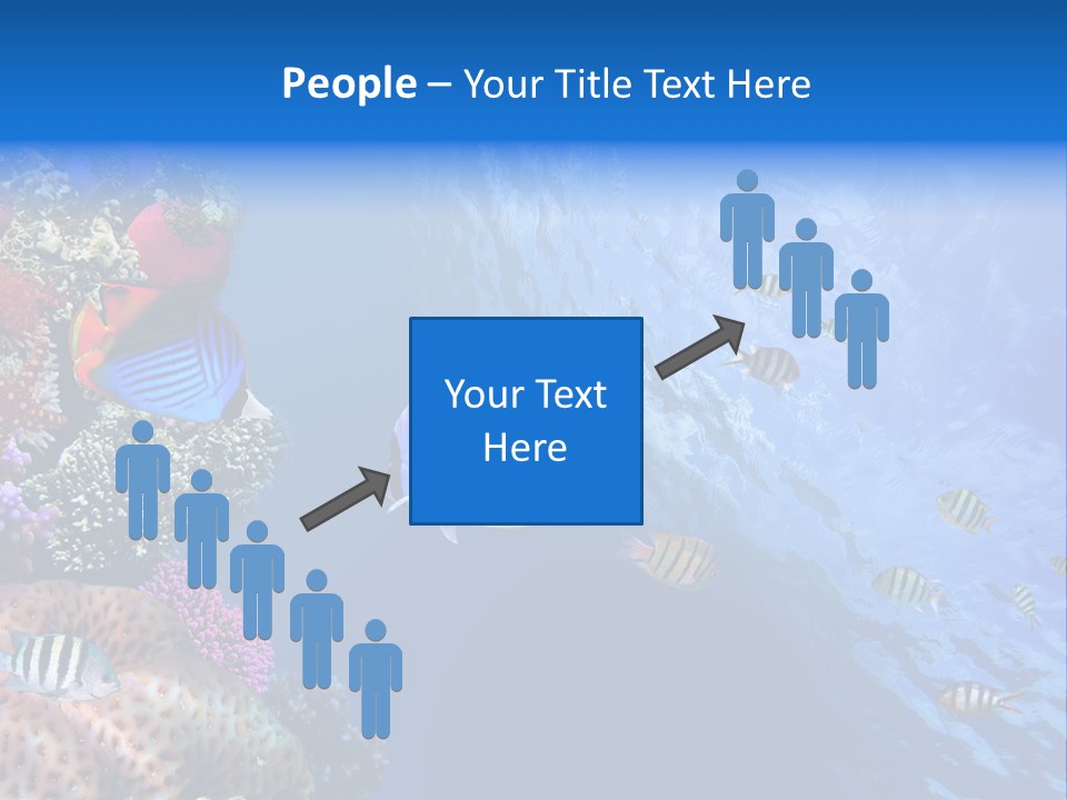 Fish PowerPoint Template