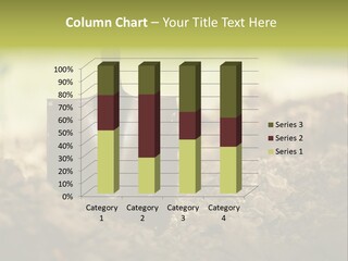 Ground Blue Dig PowerPoint Template