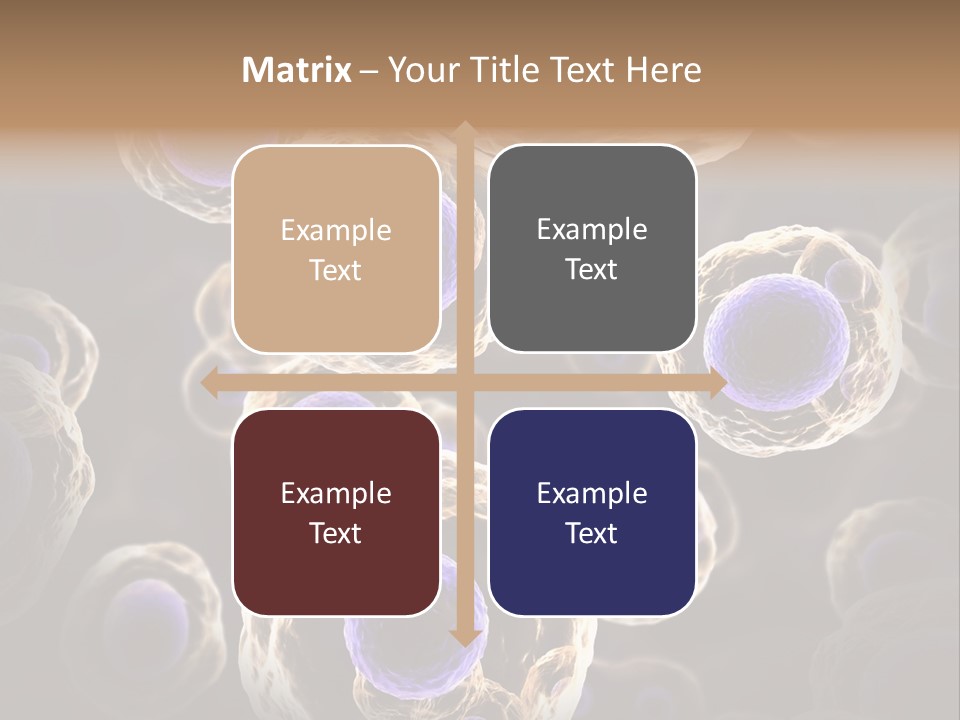 Hn Prometaphase Membrane PowerPoint Template