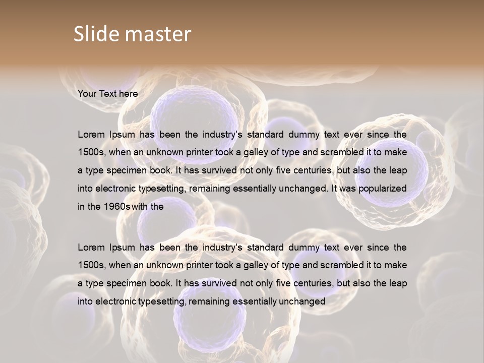 Hn Prometaphase Membrane PowerPoint Template