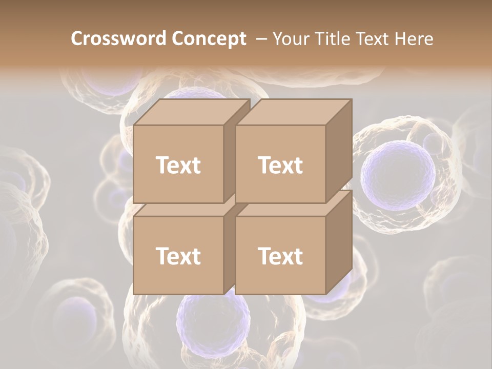 Hn Prometaphase Membrane PowerPoint Template