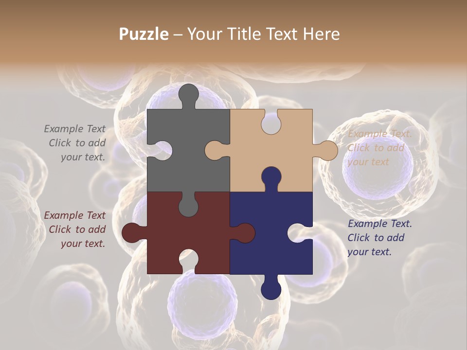 Hn Prometaphase Membrane PowerPoint Template