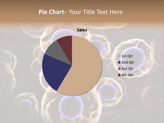 Hn Prometaphase Membrane PowerPoint Template