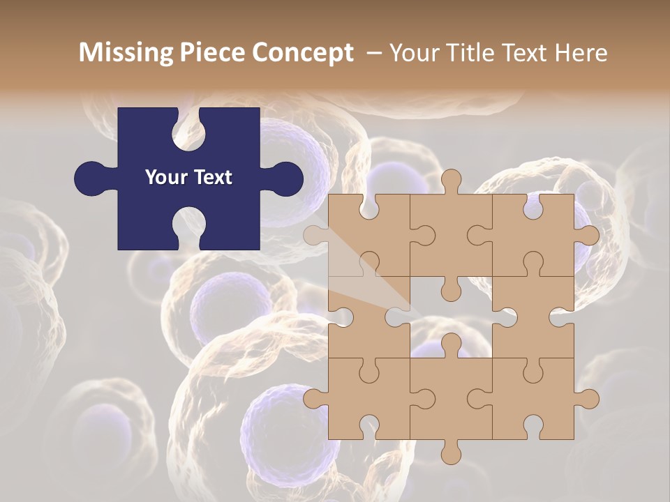 Hn Prometaphase Membrane PowerPoint Template