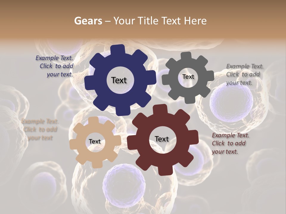 Hn Prometaphase Membrane PowerPoint Template